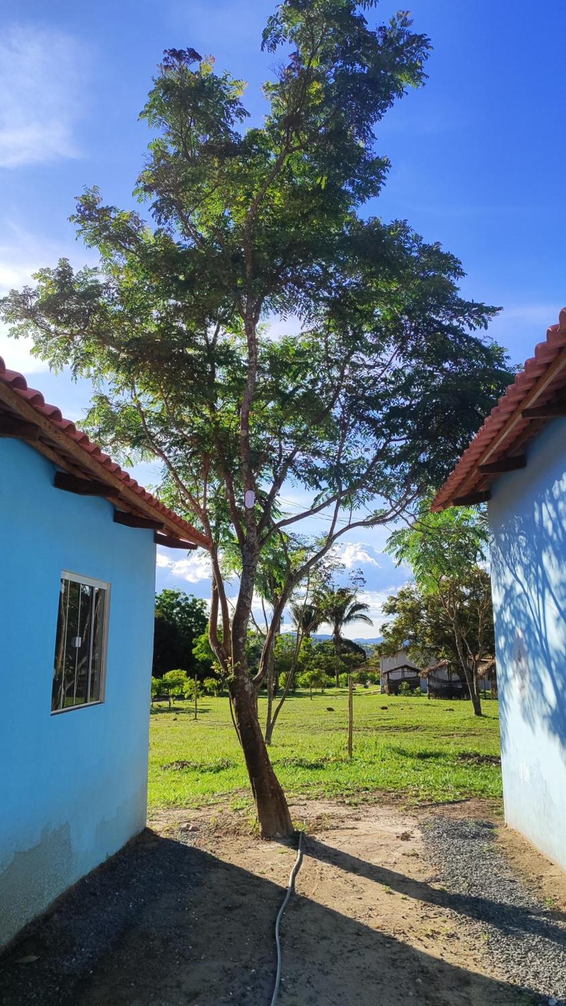 Lodge Boca Da Mata *