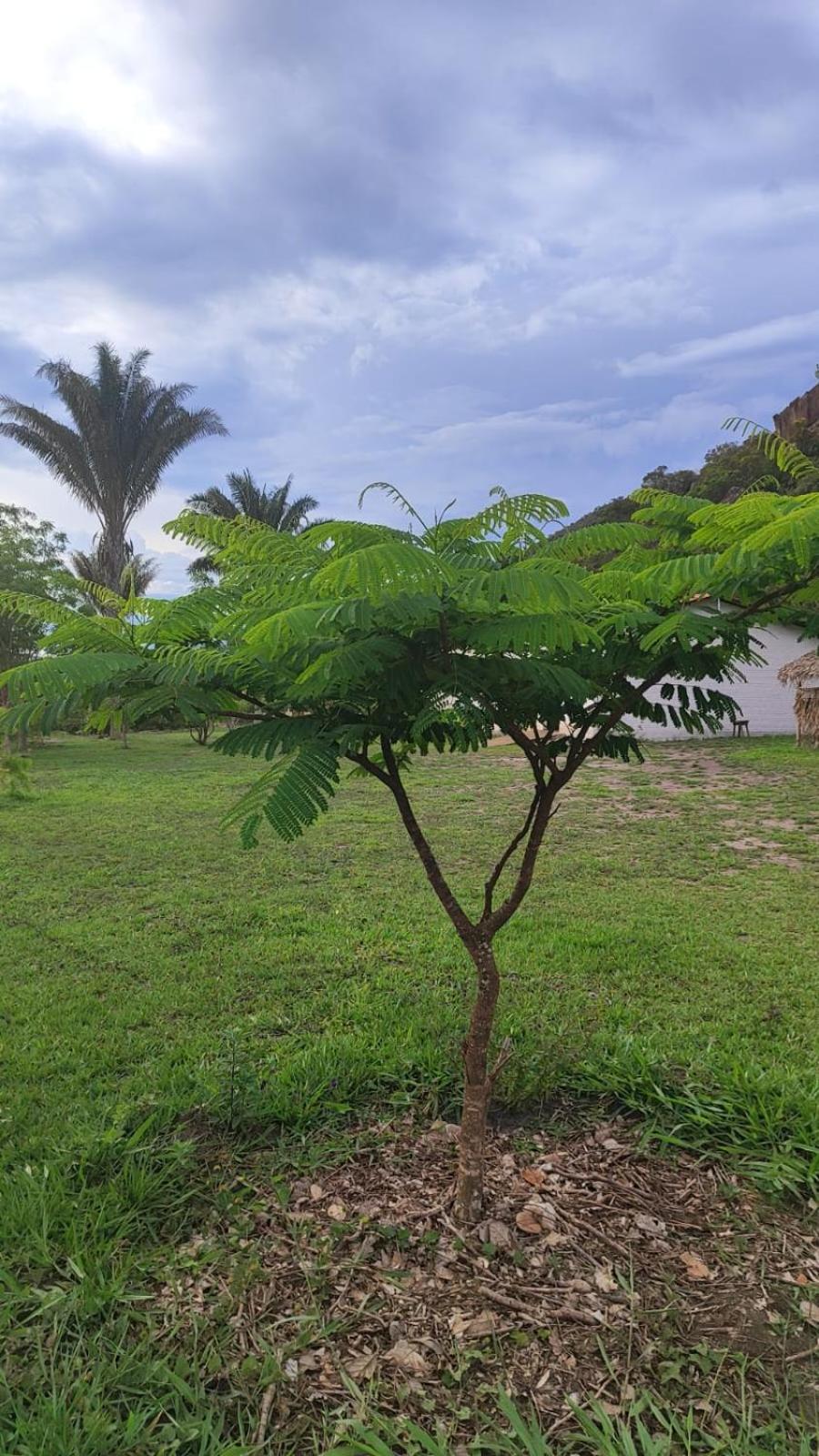 Boca Da Mata Lodge